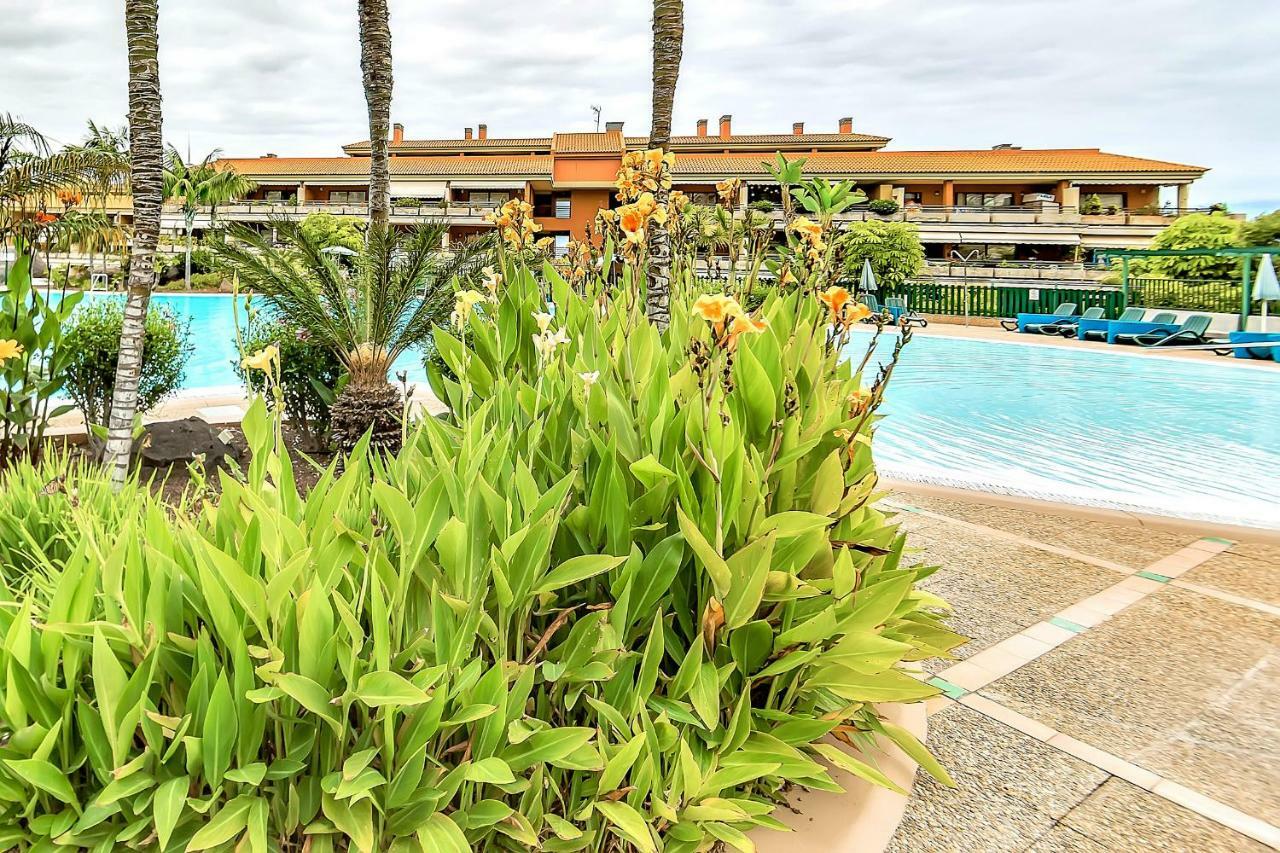 Ferienwohnung Jardines del Teide Puerto de la Cruz  Exterior foto